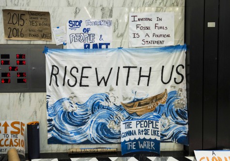 Is Divesting the Key to Sustainability?