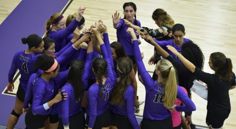 Violet Volleyball Wins Big
