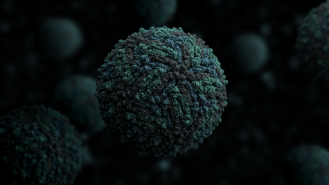 NYU Prof Scrutinizes Zika with New Grant