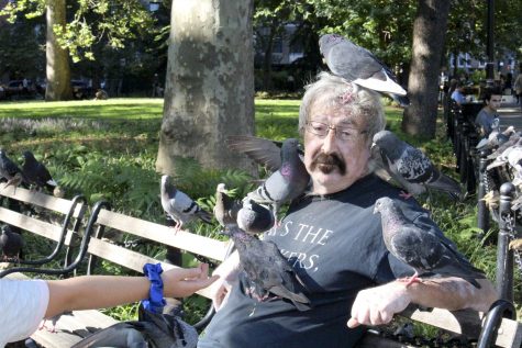 Our Nearest Neighbors: Pigeons