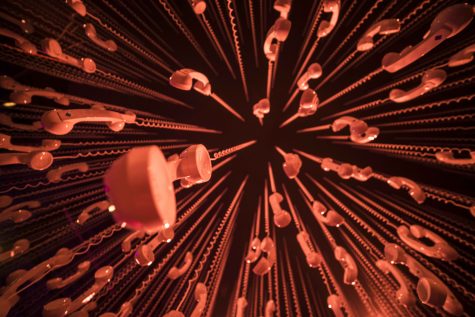 For Three Days Only, 29Rooms Dazzles: Here’s What You Missed