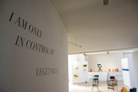 Steinhardt Trio’s Exhibit Pokes Fun at Control