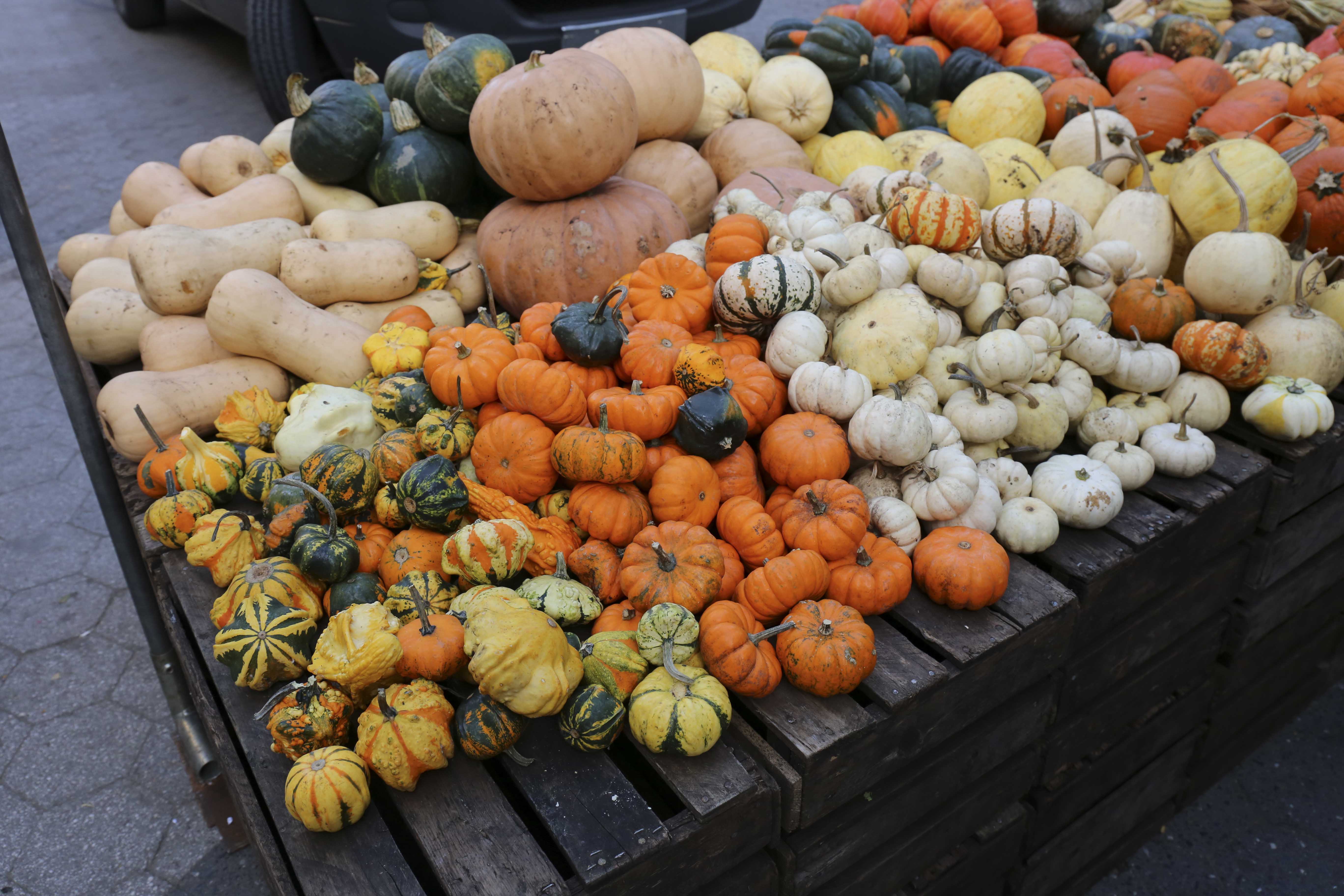 It’s October, which means pumpkins and gourds of all shapes and sizes are available at the Union Square Greenmarket.
