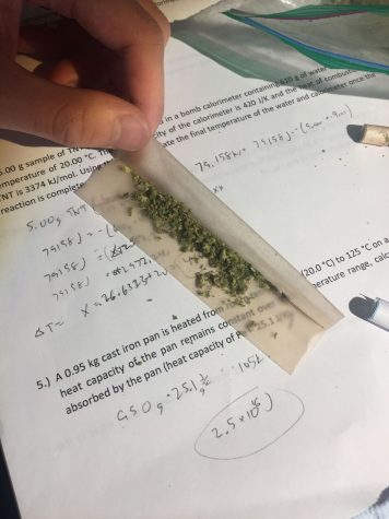 Considering a Career in the Cannabis Industry