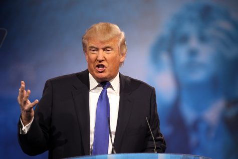 Donald Trump Has Been Elected President of the United States