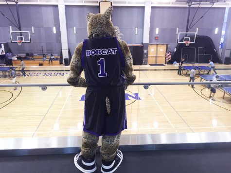Unmasking the NYU Bobcat