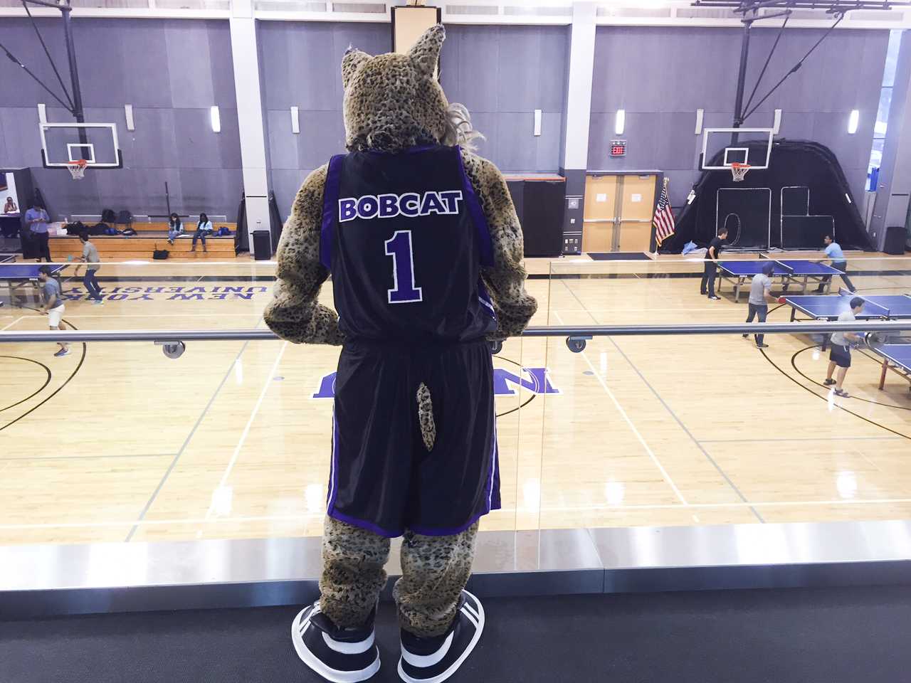 The NYU's mascot makes appearances on campus at special events, but calls the basketball games their primary home.