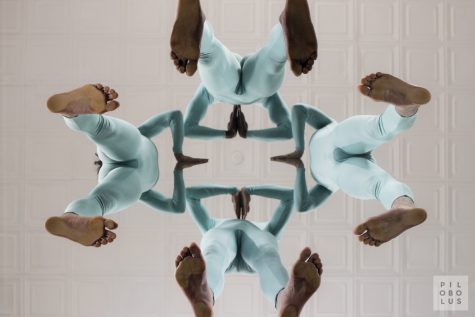 Pilobolus Bends Bodies, Minds