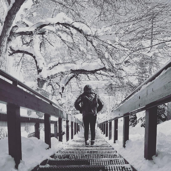 In the midst of political tension, the Sundance Film Festival is anticipated more than ever.
