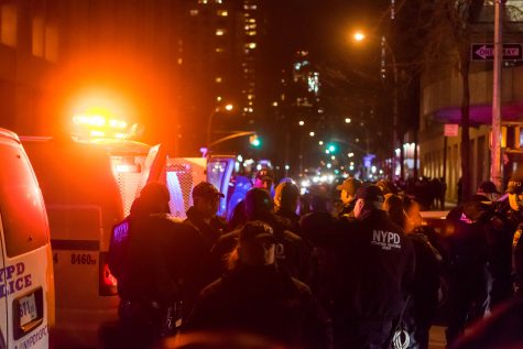 Q&A: NYU Protester Arrested