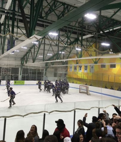 Hockey Enjoys Success in Regular Season Finale
