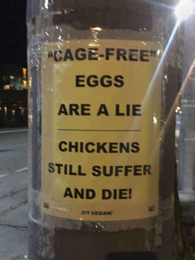The+labels+on+food+products+can+often+be+misleading+because+the+vocabulary+they+use.++%22Cage+free%22+labels+for+poultry+products+are+meaningless+because+most+birds+are+not+typically+caged.
