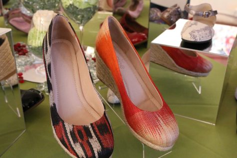Nene Shoes 2017 Presentation