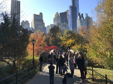 4 Ways to Make the Best of Your NYC Staycation