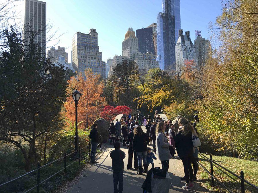 Though+not+Washington+Square+Park%2C+Central+Park+provides+a+lovely+panoramic+view+of+the+lake.+It%E2%80%99s+perfect+for+those+staying+over+during+spring+break+and+looking+for+a+new+park+to+explore+in+depth.