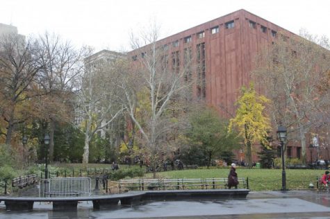 NYU Feels Climate Change in Wild Winter