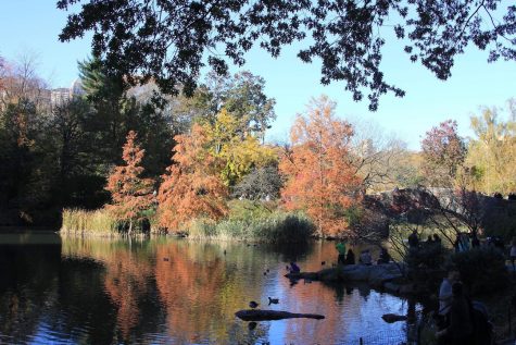 Exposure | Finding Peace in the Environment