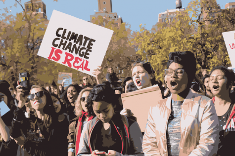 How Can NYU Students Make An Impact?