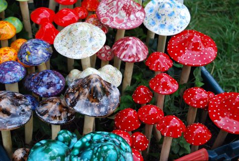Cancer Therapy Could Be Psychedelic