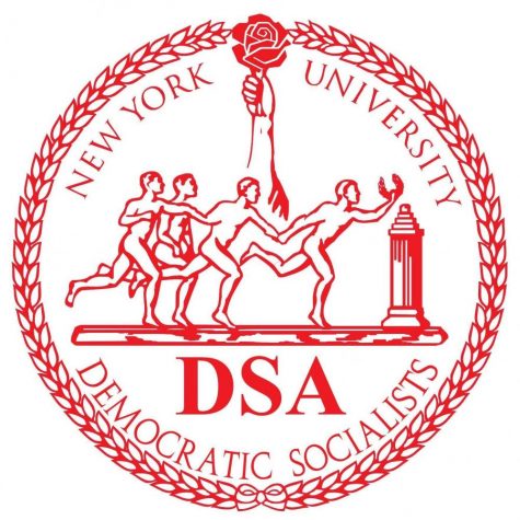 DSA Complements Activism with Education