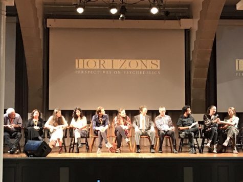 NYU Professors at Horizons Conference Share Psychedelic Research