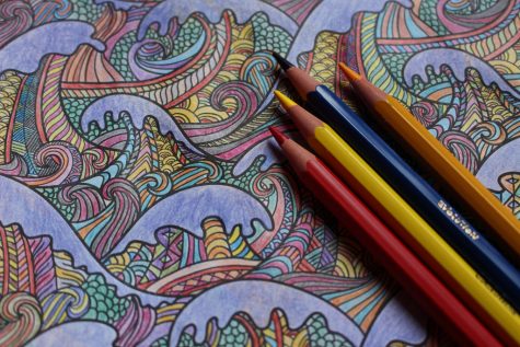 Midterm Meltdown? Try These Study Break Tips
