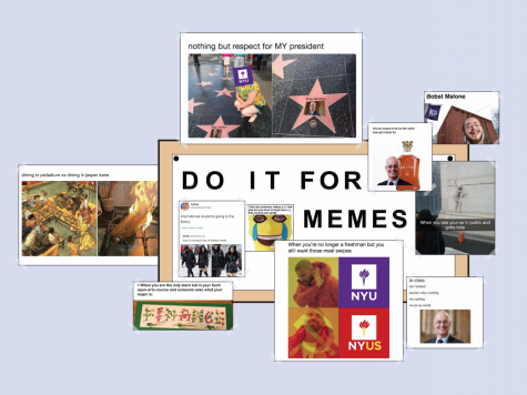 The Meme Issue