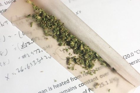 Study, Drugs and NYU