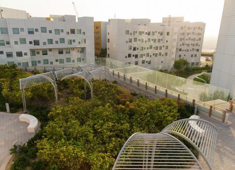 Lack of Academic Freedom Plagues NYU Abu Dhabi