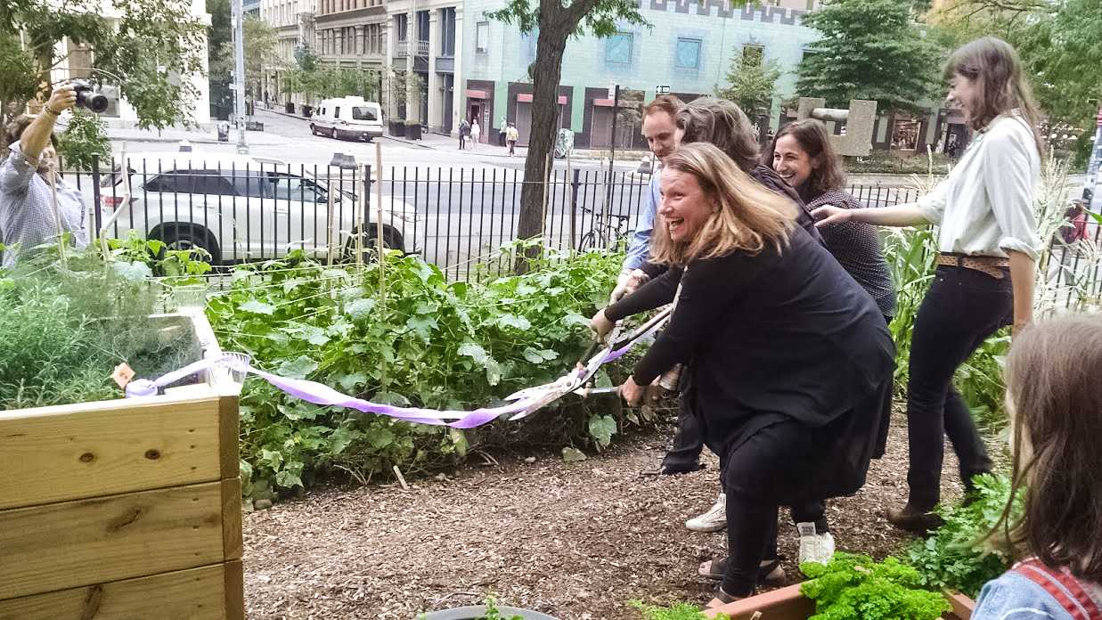 NYU’s Urban Farm Lab reopened on Oct 11. It was founded two years ago by NYU Food Studies professor Amy Bentley as a place for food study majors to harvest crops right in the city.