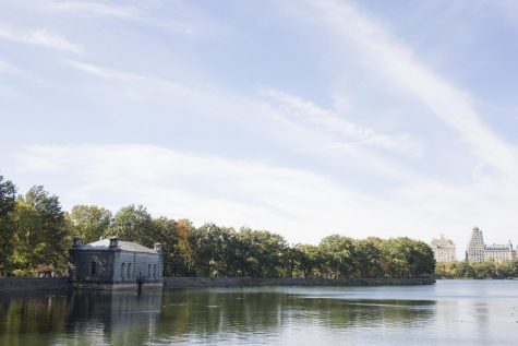 Exploring the Edge of Central Park