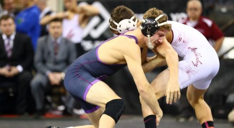Weekly Sports Update: Oct. 30 to Nov. 5
