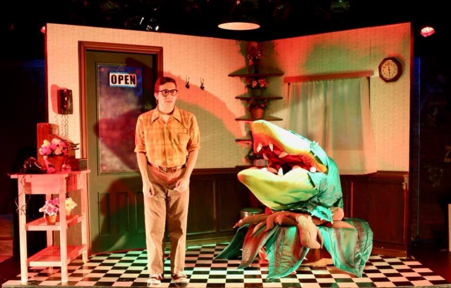 Steinhardt+senior+Daniel+Youngelman+plays+the+lead+role+of+Seymour+in+Little+Shop+of+Horrors.