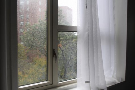 Jack Frost Playing Games in NYC