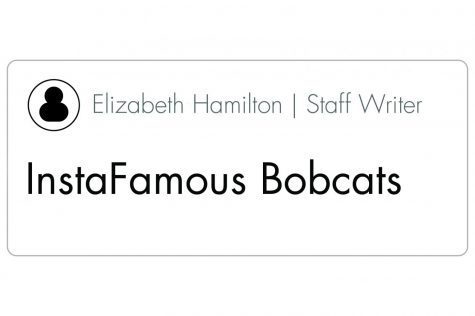 InstaFamous Bobcats
