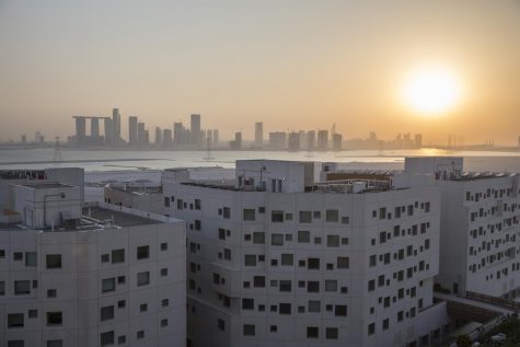 Hamilton Admits University Bungled NYUAD Visa Denials