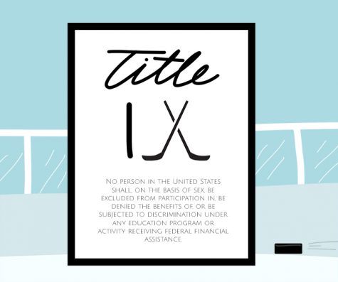 The Evolution of Title IX in Sports