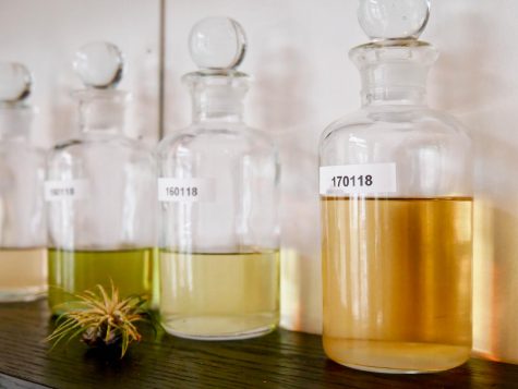 Perfumarie: A Blind Journey Through Scents