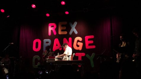 Rex Orange County Makes Lively US Debut