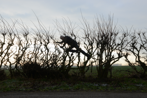 The Ephemeral Life in ‘Leaning Into the Wind’