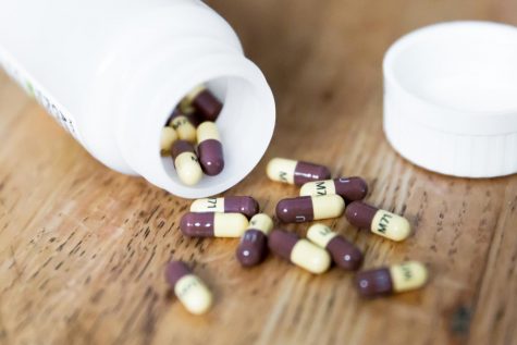 University Experts Discuss Opioid Epidemic Struggle and Solutions