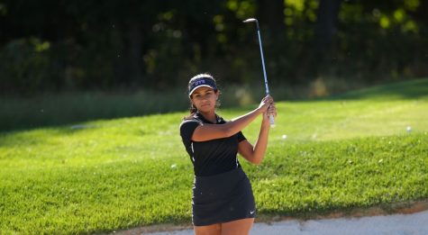 Weekly Sports Update: April 8 to April 15