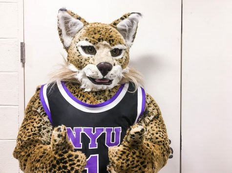Big Things to Come From the Bobcat