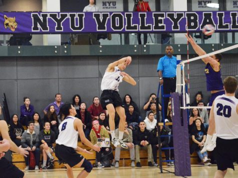 Weekly Sports Update: April 15 to April 22