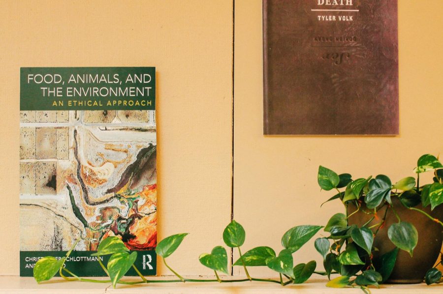 NYU+will+be+opening+a+new+Center+for+Environmental+and+Animal+Protection.