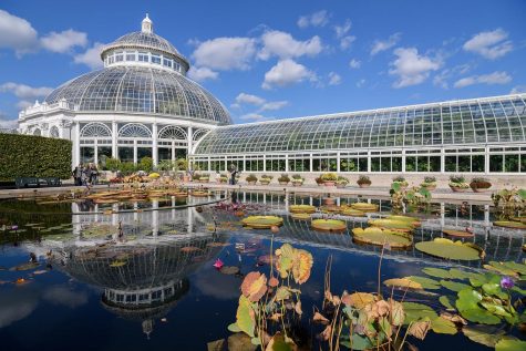 Find a Park to Celebrate Earth Day