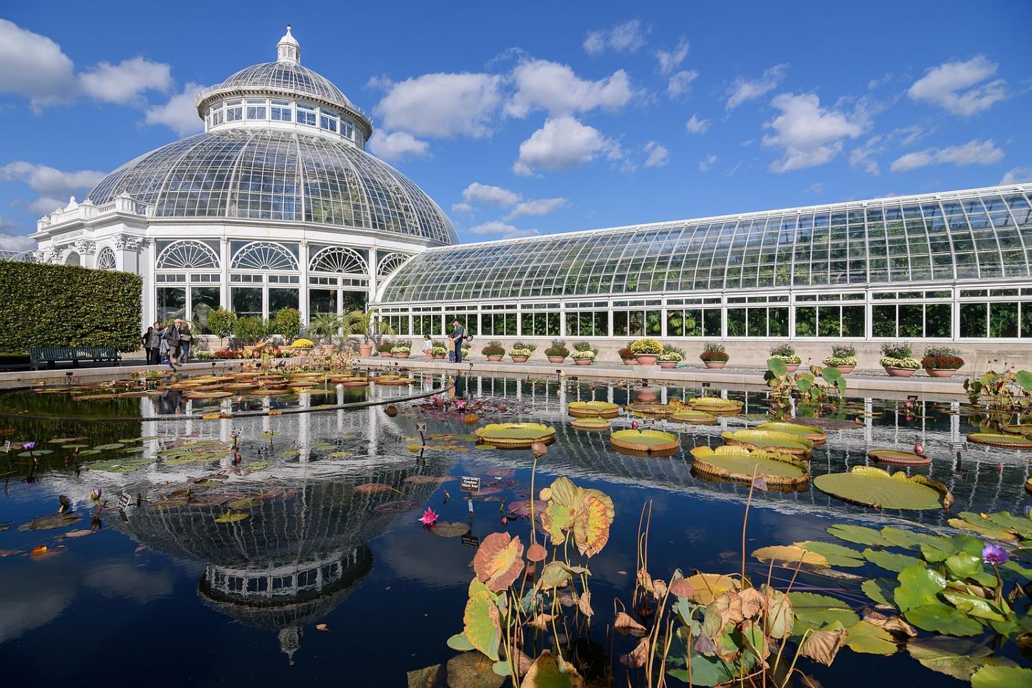 The New York Botanical Garden, which will be holding a special Earth Day Celebration at the end of its annual Orchid Show.