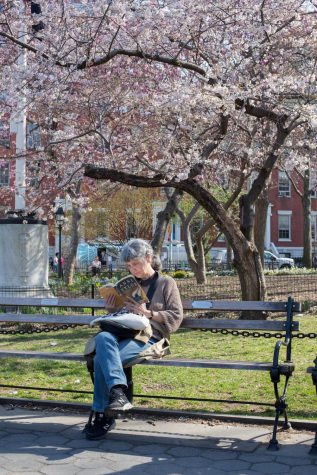The City’s Best Spots to See Cherry Blossoms