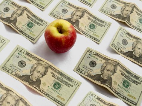 Food Insecurity Programs Serve Only ‘Tip of the Iceberg’