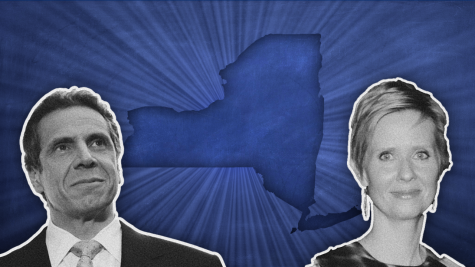 A Guide to New York’s Midterm Elections